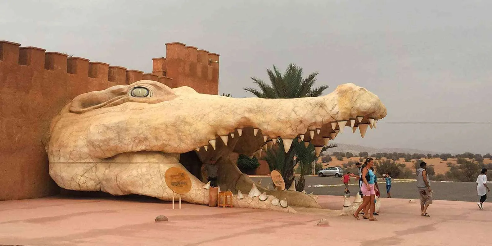 Crocoparc Agadir Morocco tour image 6