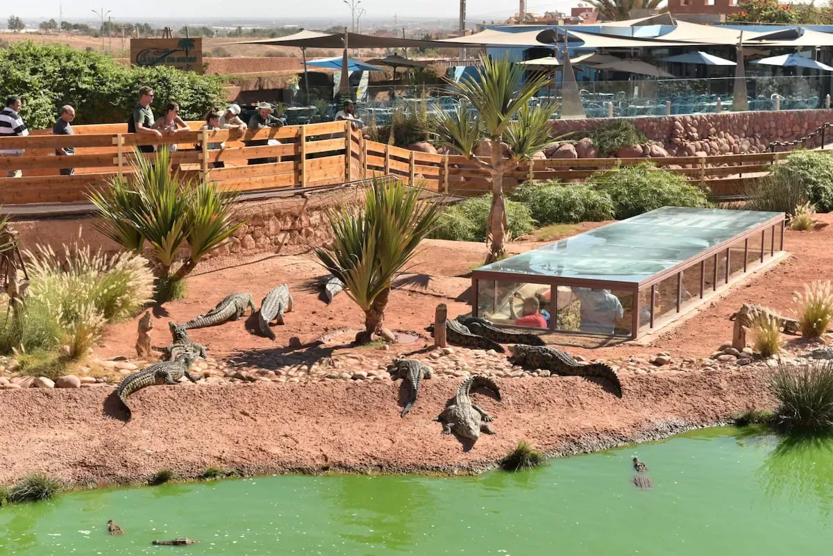 Crocoparc Agadir Morocco tour image 7
