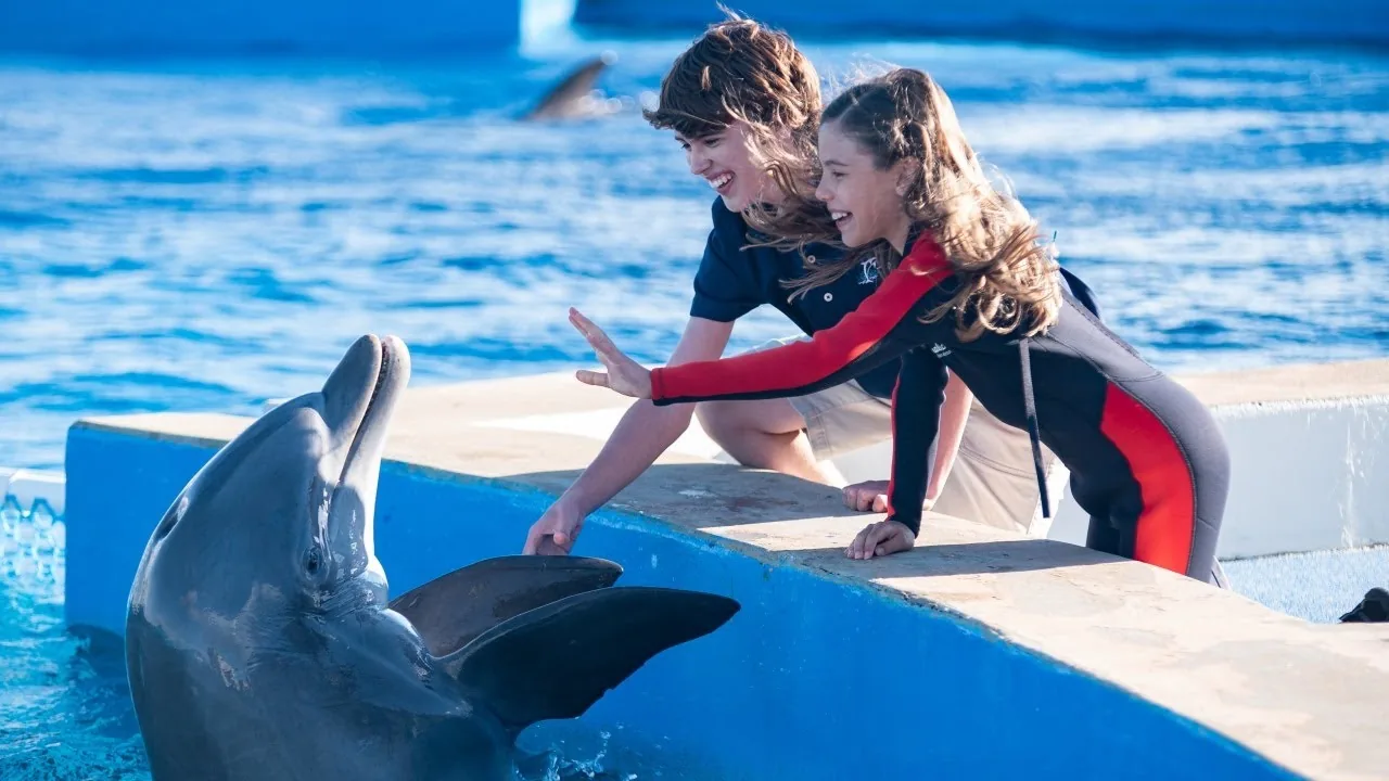 Dolphin Show Agadir Morocco tour image 6