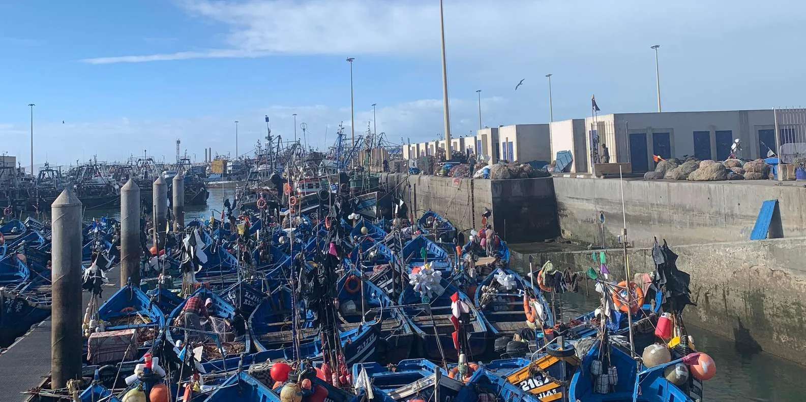 Essaouira Day Trip Taghazout Morocco tour image 1