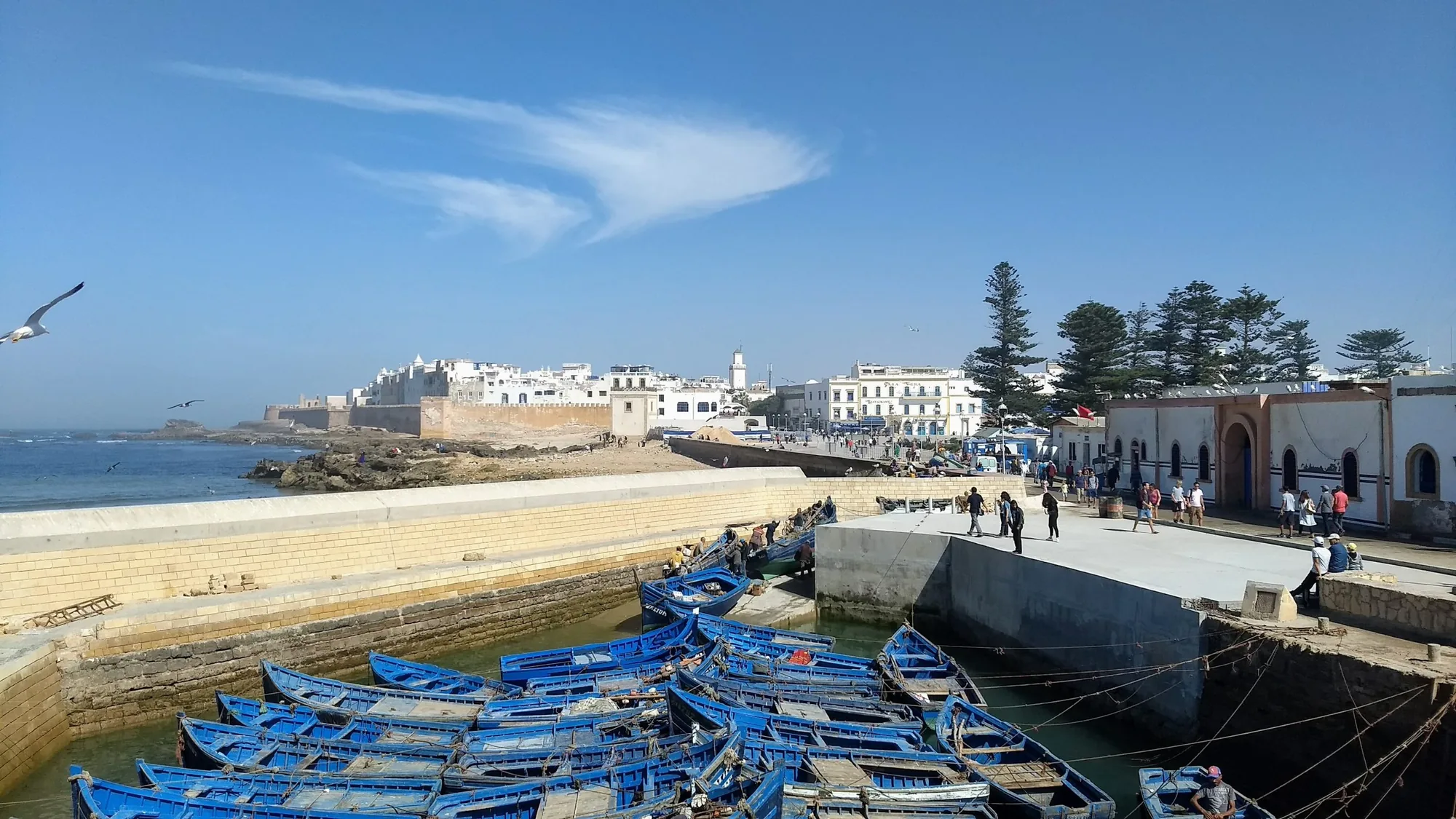 Essaouira Day Trip Taghazout Morocco tour image 5