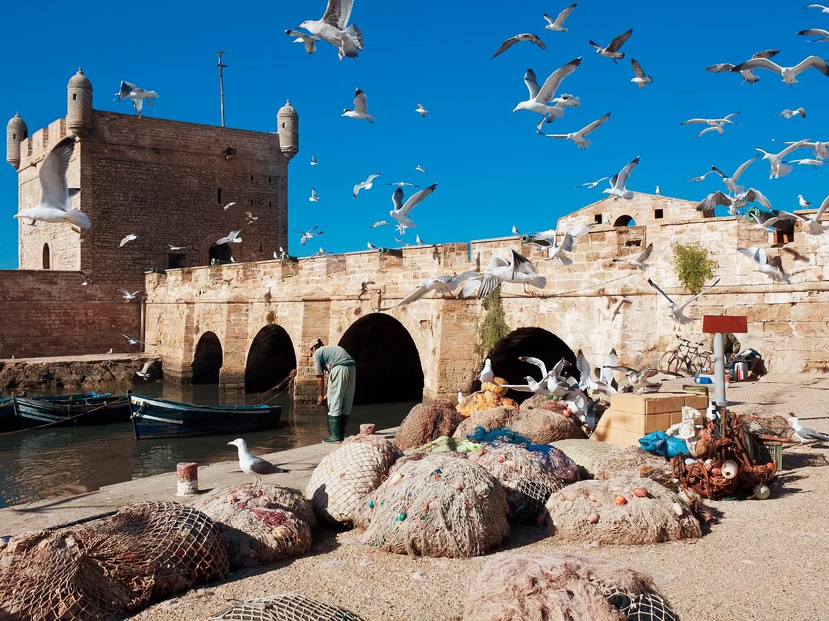 Essaouira Day Trip Taghazout Morocco tour image 8