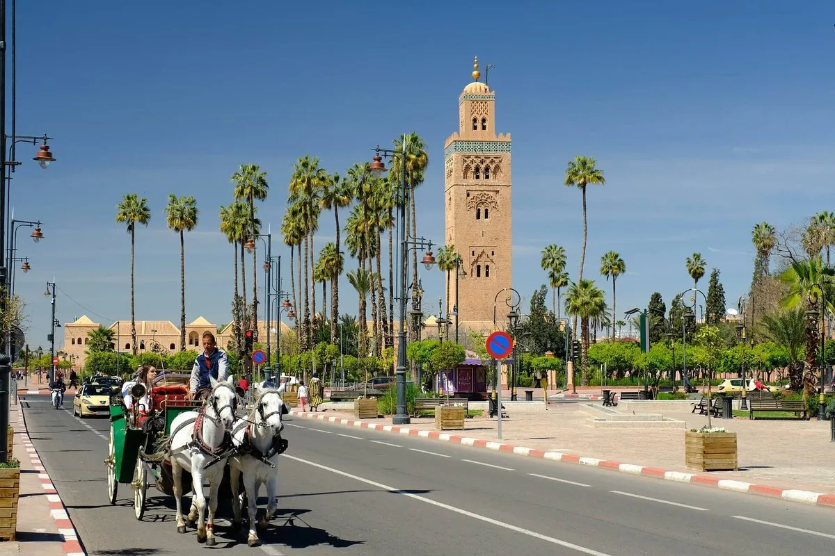 Marrakech Day Trip Taghazout Morocco tour image 6