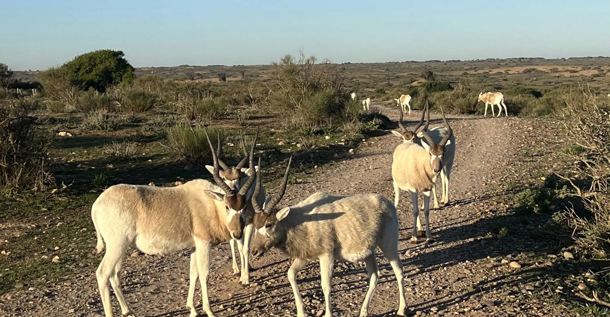 Souss National Park Agadir Morocco tour image 1