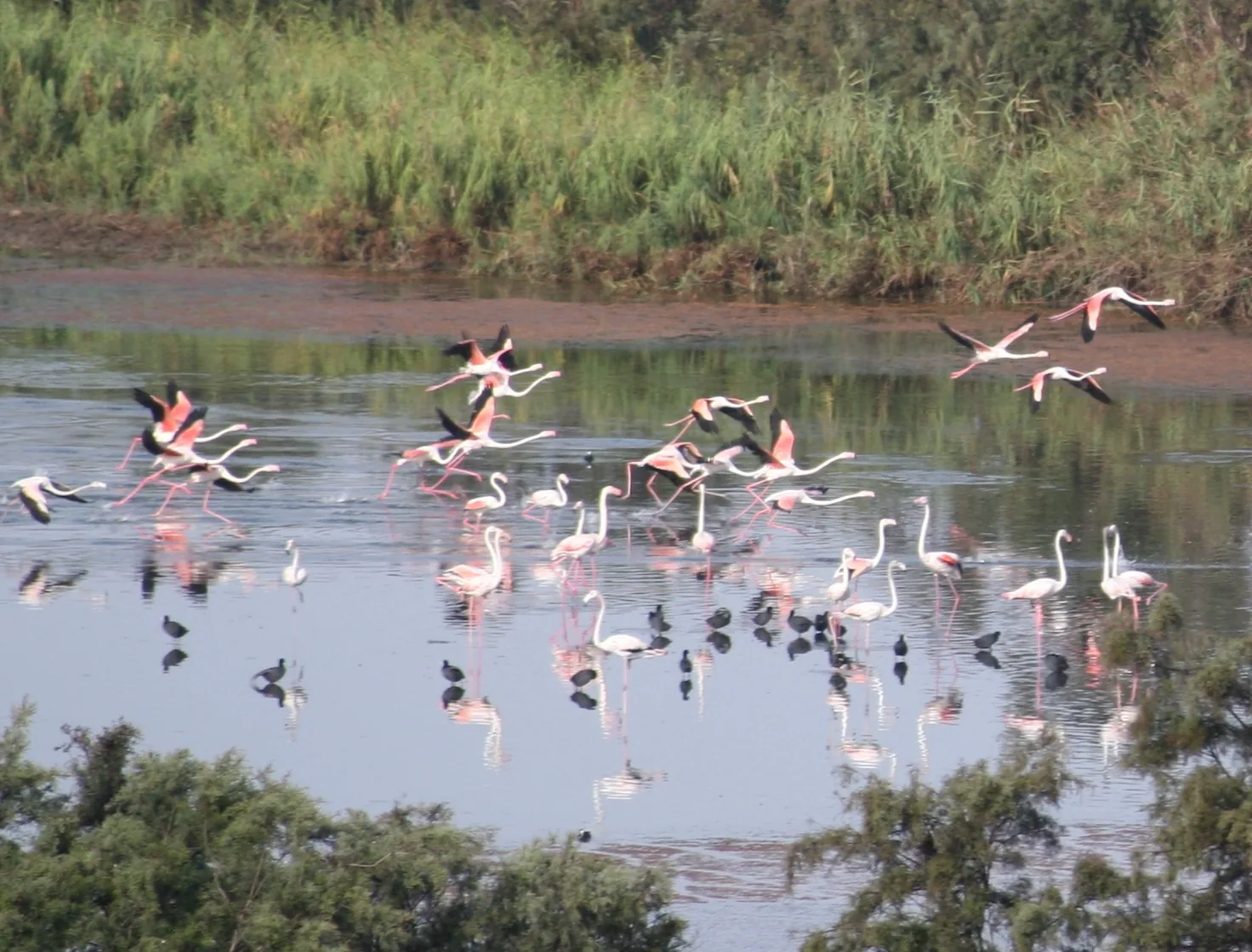 Souss National Park Agadir Morocco tour image 4