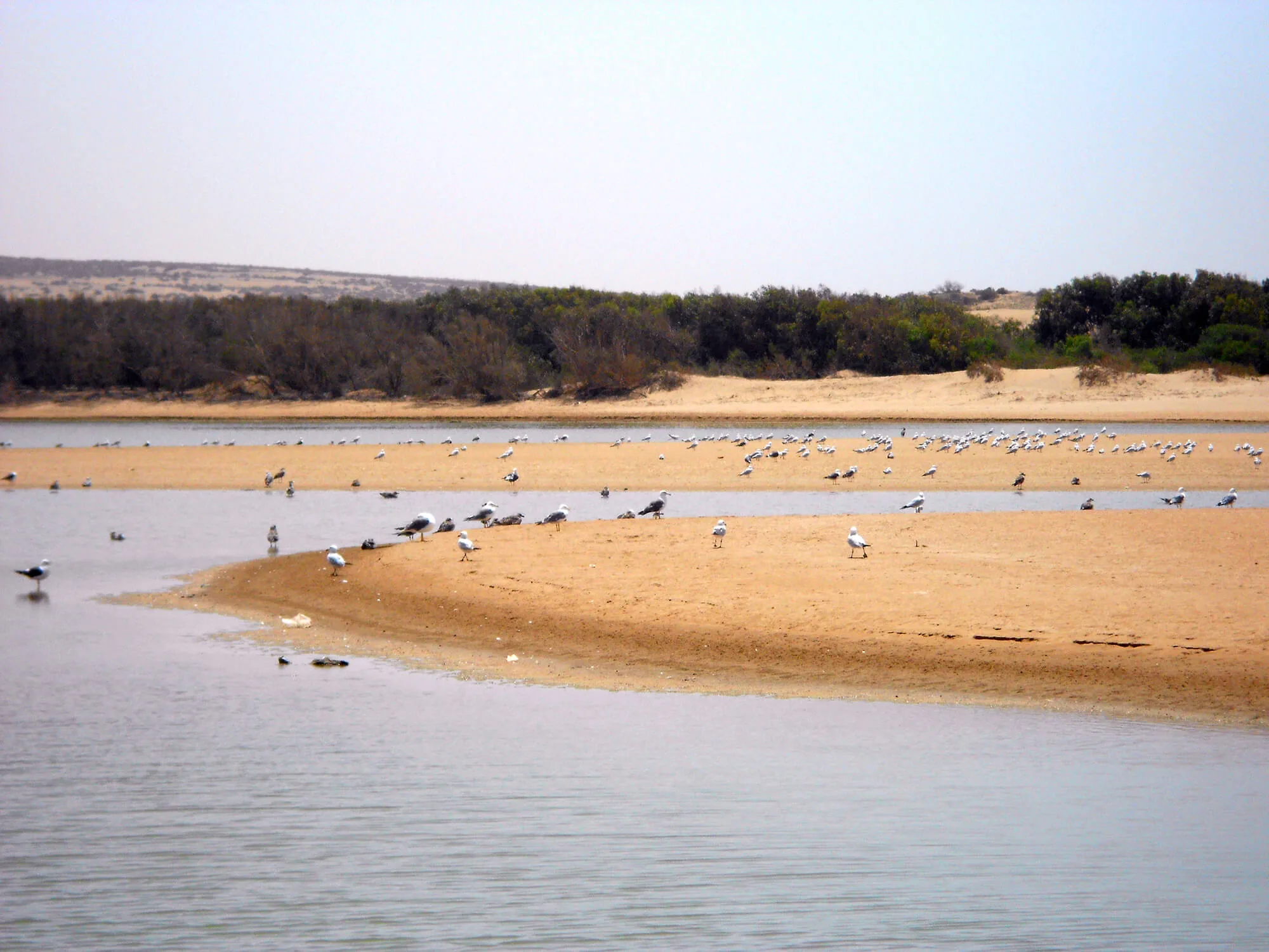 Souss National Park Agadir Morocco tour image 6
