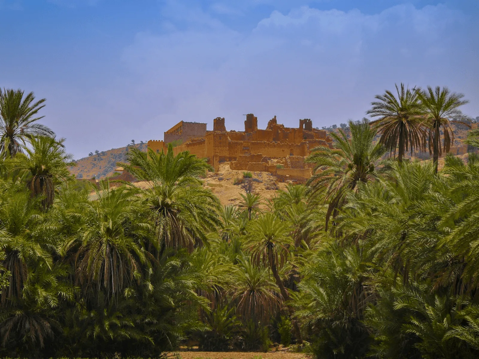 Taroudant Day Trip Agadir Morocco tour image 7