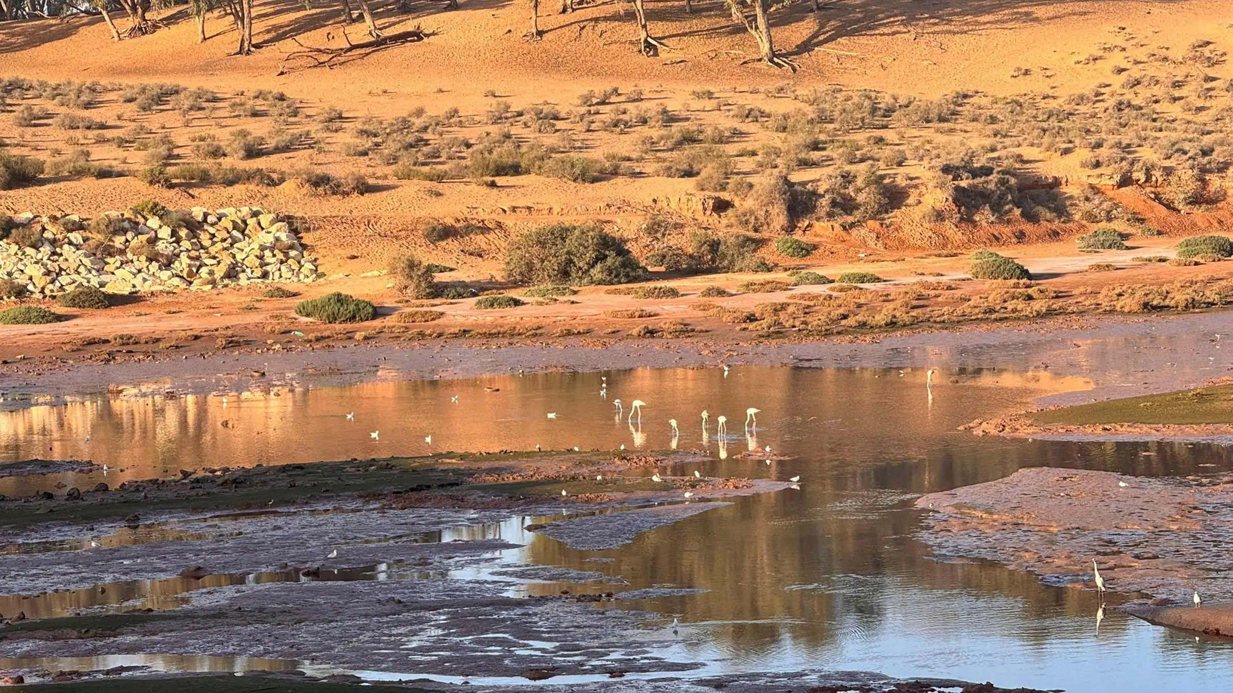 Agadir Souss-Massa 4WD Desert Jeep Safari with Lunch — photo 17