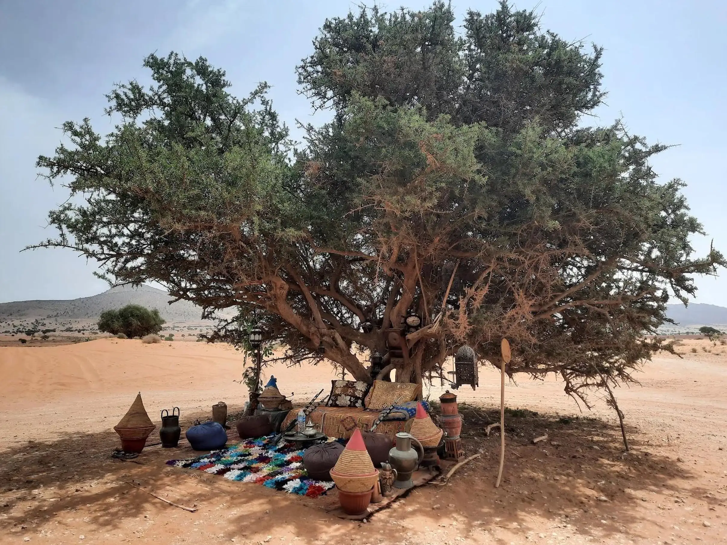 Agadir Souss-Massa 4WD Desert Jeep Safari with Lunch — photo 18