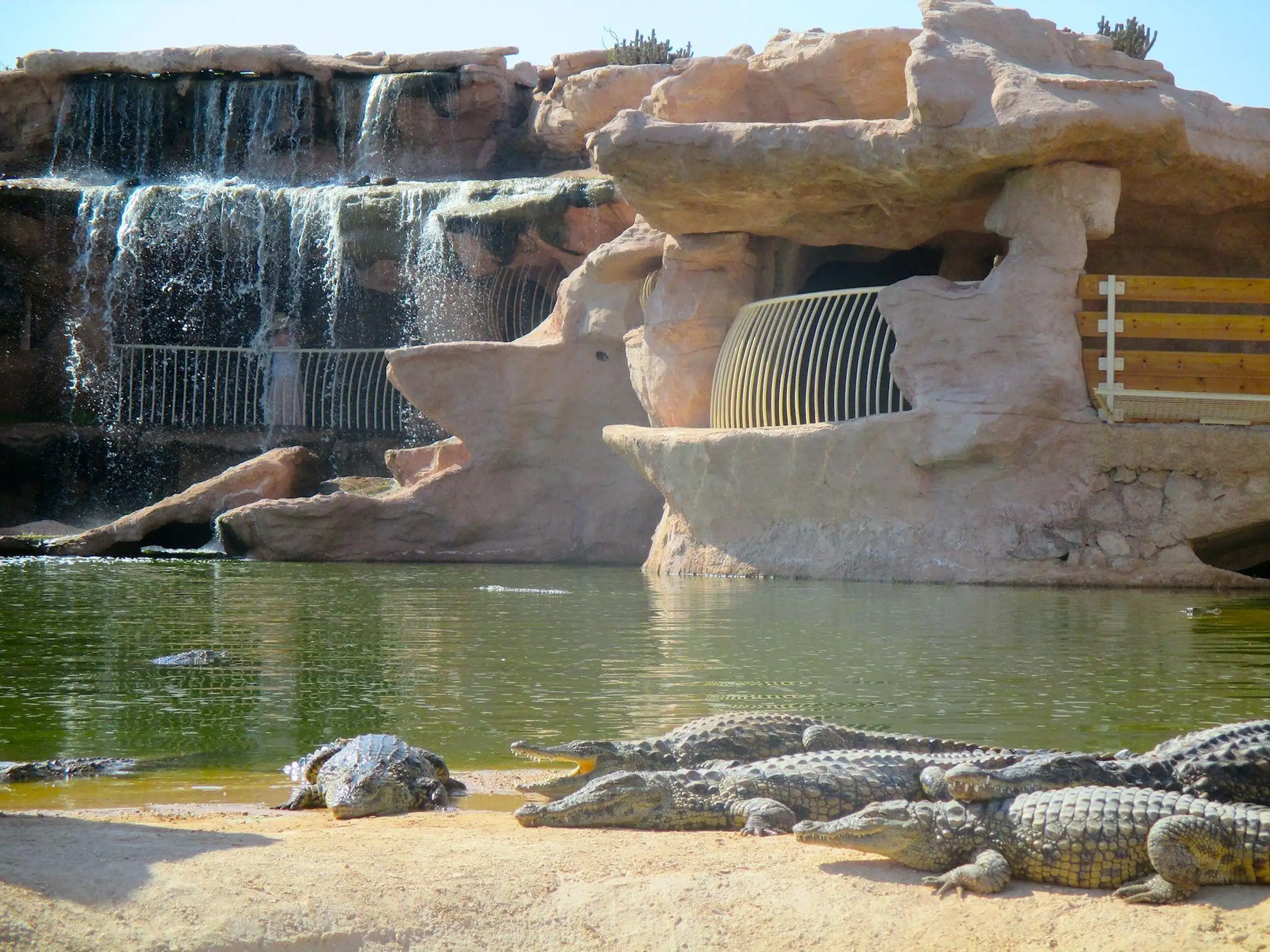 Agadir Goats on the Trees & Crocoparc Tour with Entry Tickets — photo 20