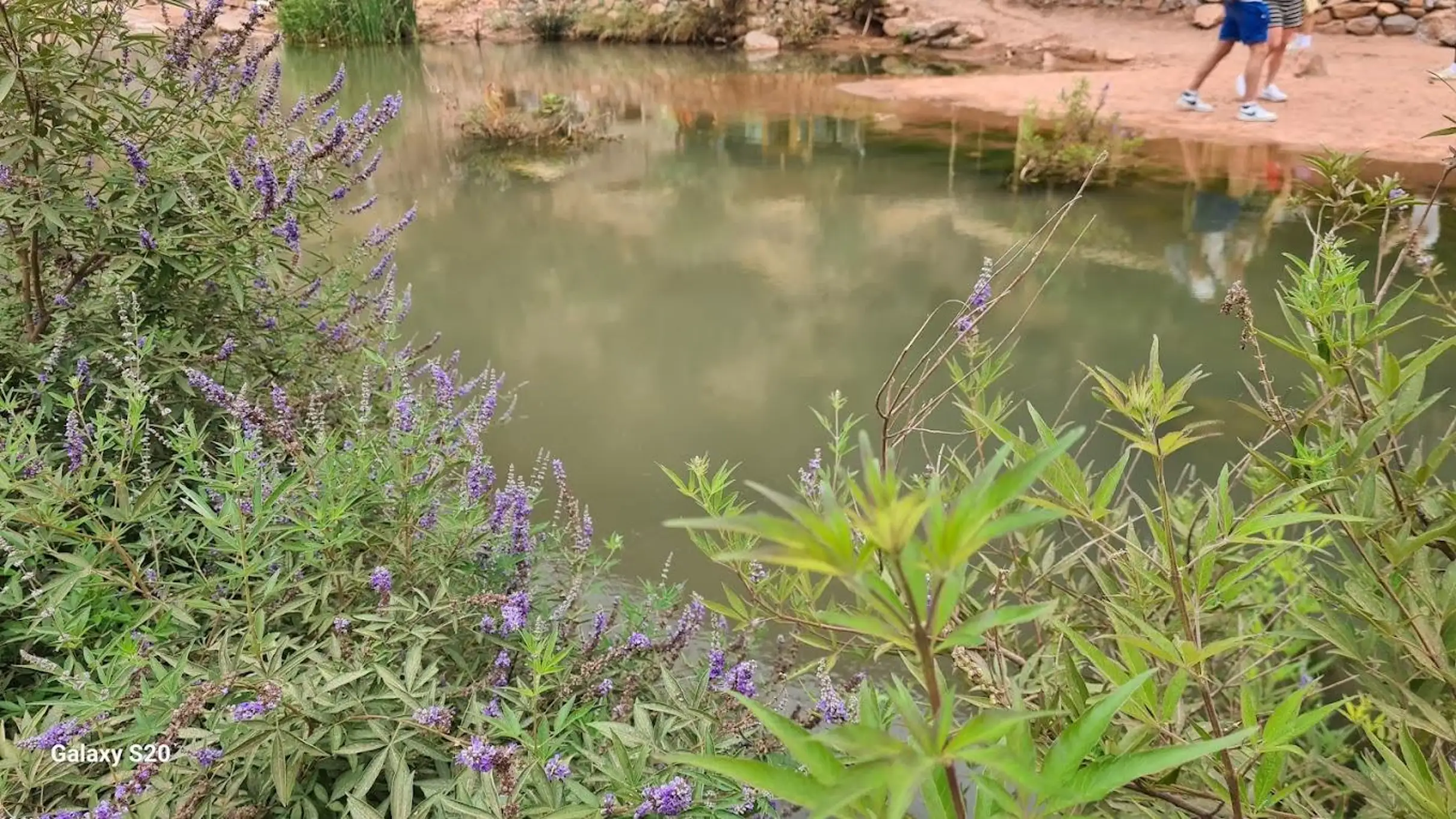Agadir Paradise Valley Guided Hike & Swimming Tour — photo 10
